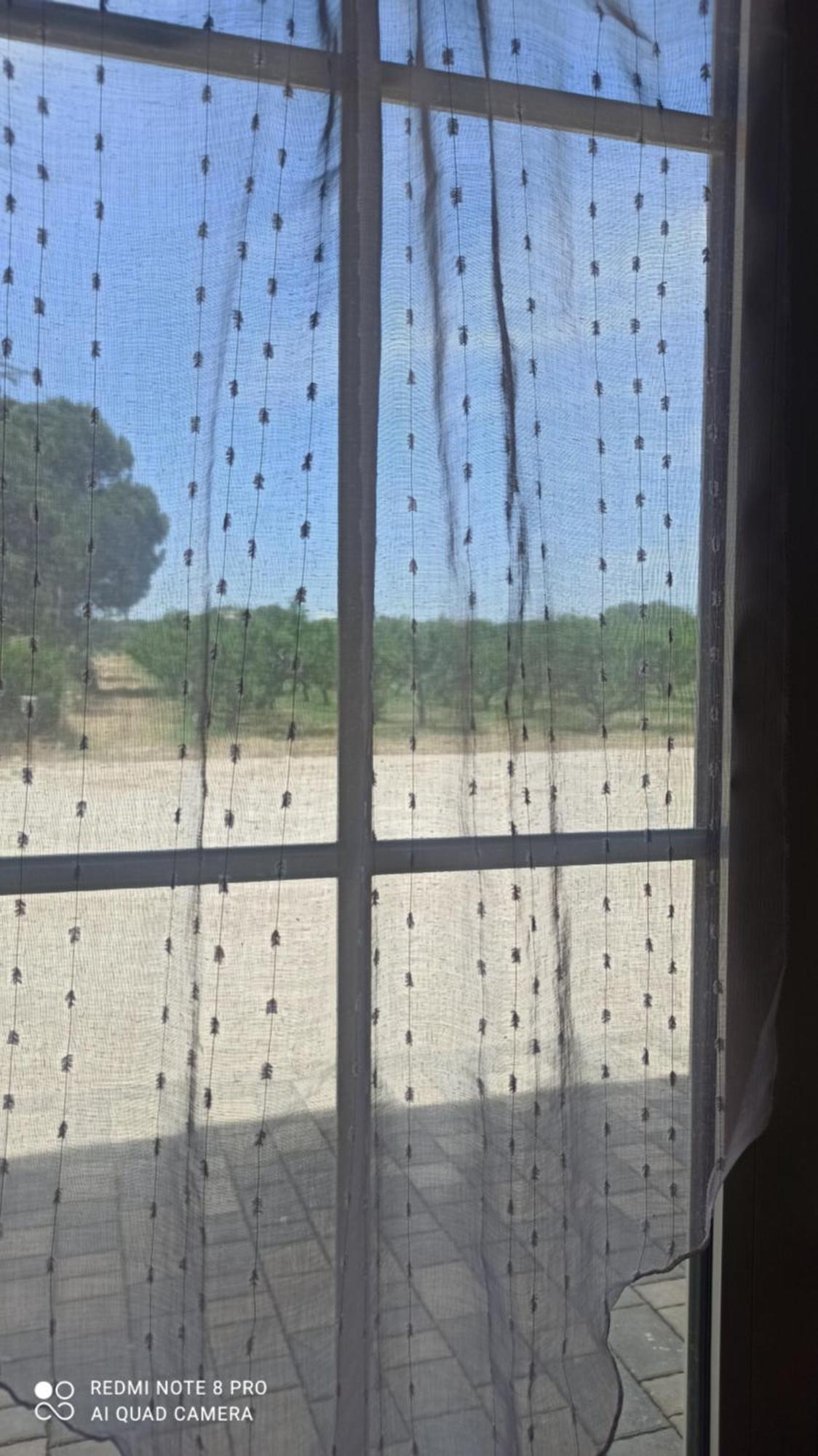 Agriturismo L' Annunziata Lizzano (Apulia) Quarto foto