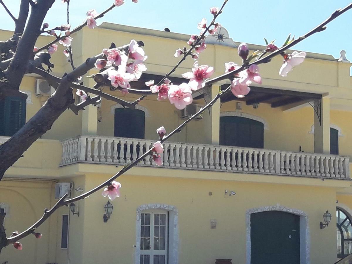 Agriturismo L' Annunziata Lizzano (Apulia) Exterior foto
